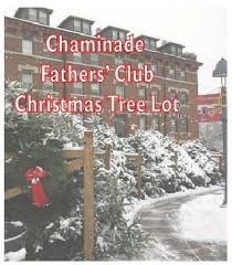 Chaminade Christmas Tree Lot 2022 Ccp Father's Club Brings Christmas To Campus